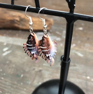 Pierced Earrings Silver Post