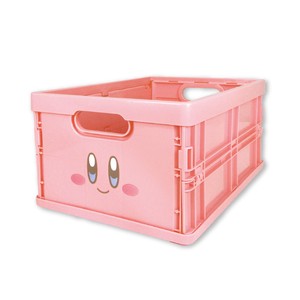 Accessory Case Kirby