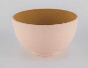 Resin Plates Bowl Pink Made in Japan made Japan