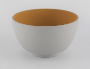 Resin Plates Bowl Gray Made in Japan made Japan