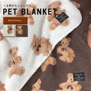 Blanket Pet bear 2