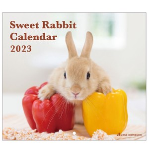 2 3 Calendar Rabbit 3 6