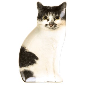 Small Plate Cat