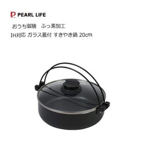Pot IH Compatible 20cm
