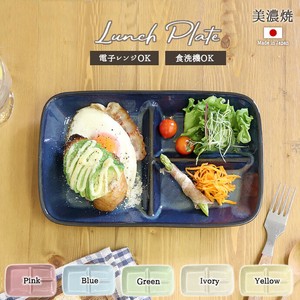 Divided Plate