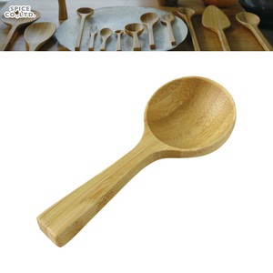 Bamboo Condiment Spoon
