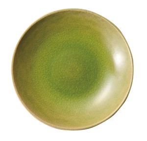 Shigaraki ware Plate Jewel 25cm Made in Japan