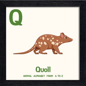 置き掛け兼用 アートパネル Animal Alphabet Quoll