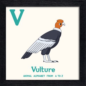 置き掛け兼用 アートパネル Animal Alphabet Vulture