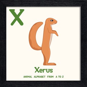 置き掛け兼用 アートパネル Animal Alphabet Xerus