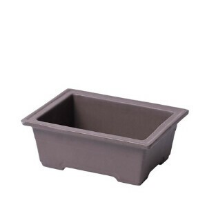 液体肥料(観葉植物用)35ml 10本入 【園芸用品・除草剤】の商品 液体肥料(観葉植物用)35ml 10本入 【園芸用品・除草剤】の商品