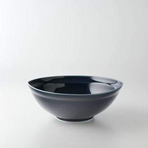 Mino ware Donburi Bowl Miyama Hana Western Tableware Made in Japan