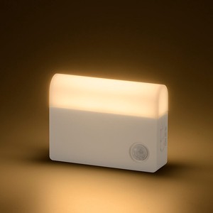 LEDセンサーライト 明暗+人感 屋内用 40lm 電池式