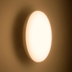 LED浴室灯 要電気工事 100形相当 電球色