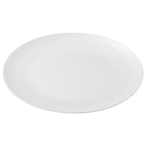 Mino ware Main Plate Western Tableware 28cm Made in Japan
