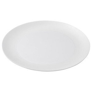 Mino ware Main Plate Western Tableware 26cm Made in Japan