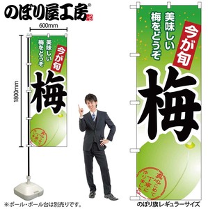 Store Supplies Food&Drink Banner Japanese Plum