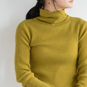 2 Series Knitted Turtle Neck Top