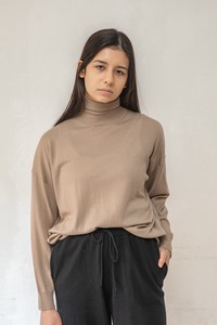 Sweater/Knitwear Pullover Turtle Neck