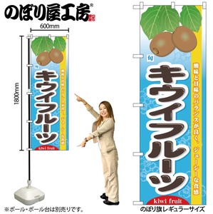 Store Supplies Food&Drink Banner Kiwi Fruits