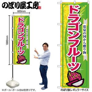 Store Supplies Food&Drink Banner Dragon Fruits