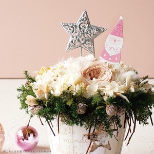 【楽しいクリスマスを迎える☆】木製プレートピック ラグジュアリー パープル×ピンククリスマス雑貨