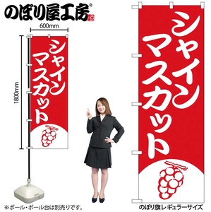 Banner 8 2 80 Shine Muscat Red 1 Color