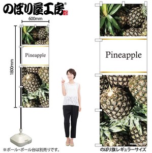 ☆N_のぼり 82514 Pineapple 写真 金帯 NSH
