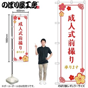 Store Supplies Banners Japanese Plum