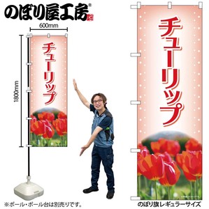 Banner Red Tulips