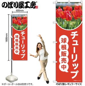 Store Supplies Banners Tulips