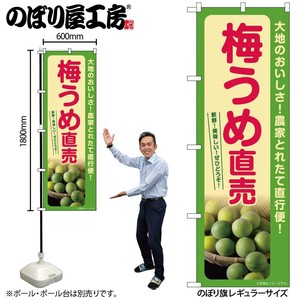 Store Supplies Food&Drink Banner Japanese Plum