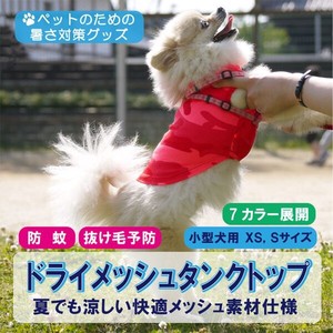 【特価】 ホワイト15枚全量注文で送料無料 小型犬 ドライメッシュ カラーバリエーション 散歩 ドッグ