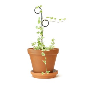 植物用くいミニ　ブラック　パーチ　支柱　おしゃれ　ガーデニング　観葉植物