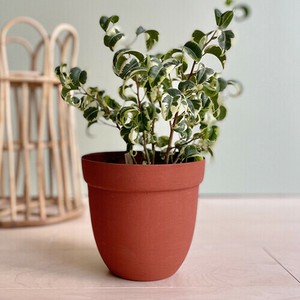 アイアンプランター　鉢カバー　植木鉢　鉢穴無し　鉢　おしゃれ