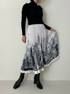 Skirt Pleated Printed