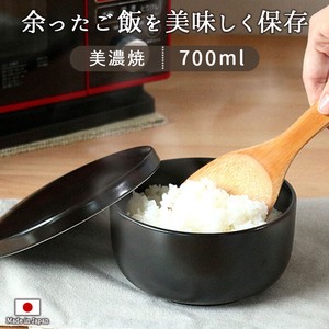 Mino ware Heating Container/Steamer 700ml Made in Japan