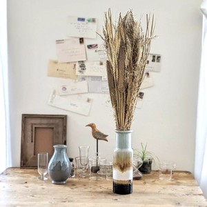 DRIED PLANTS - ARRANGEMENT (B)　ドライプランツ ドライフラワー 造花