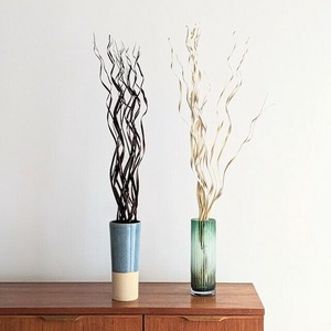 DRIED PLANTS - PALM SPIRAL　ドライプランツ ドライフラワー