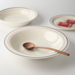 Mino ware Main Plate Gray Orange Western Tableware 23.2cm Made in Japan