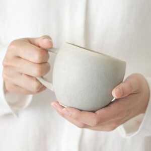 Mino ware Mug Gray Made in Japan