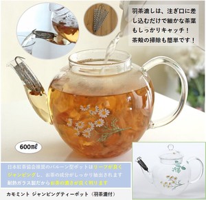 Japanese Teapot Heat Resistant Glass 1-pcs