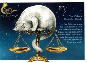 セブリーヌ 【 キャット ポストカード 】 Chat Balance てんびん座 猫 ネコ はがき DU ZODIAQUE 十二星座