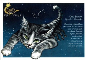 セブリーヌ 【 キャット ポストカード 】 Chat Scorpion さそり座 猫 ネコ はがき DU ZODIAQUE 十二星座