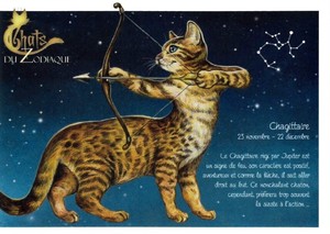 セブリーヌ 【 キャット ポストカード 】 Chagittaire いて座 猫 ネコ はがき DU ZODIAQUE 十二星座