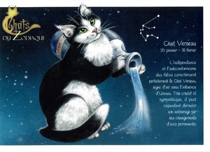 セブリーヌ 【 キャット ポストカード 】 Chat seau みずがめ座 猫 ネコ はがき DU ZODIAQUE 十二星座