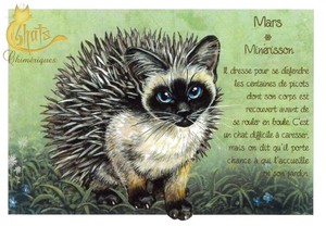 セブリーヌ 【 キャット ポストカード 】 Mars Minerisson 3月 ハリネズミ 猫 ネコ ねこ ハガキ はがき