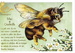 セブリーヌ 【 キャット ポストカード 】 Mai Chabeille 5月 ミツバチ 猫 ネコ ねこ ハガキ はがき