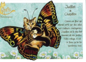 セブリーヌ 【 キャット ポストカード 】 Juillet Chapillon 7月 蝶 猫 ネコ ねこ ハガキ はがき