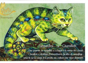 セブリーヌ 【 キャット ポストカード 】 Septembre Chameleon 9月 カメレオン 猫 ネコ ねこ ハガキ はがき